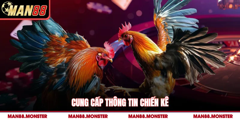 Cung cấp thông tin chiến kê